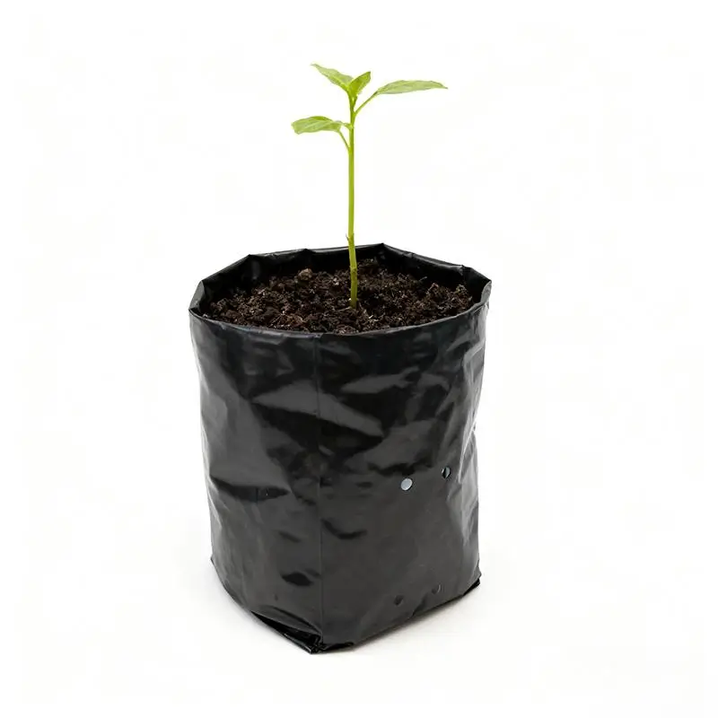 biodegradable grow bags for seedlings