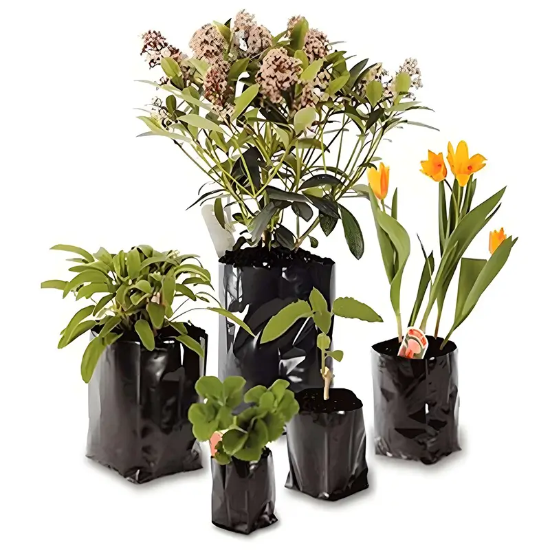 compostable grow bags for plants