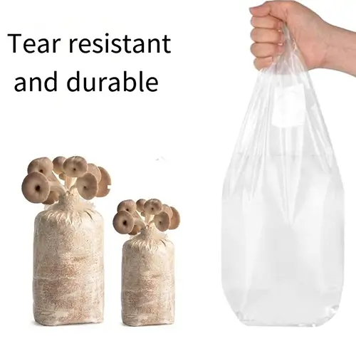 compostable mushroom grow bags